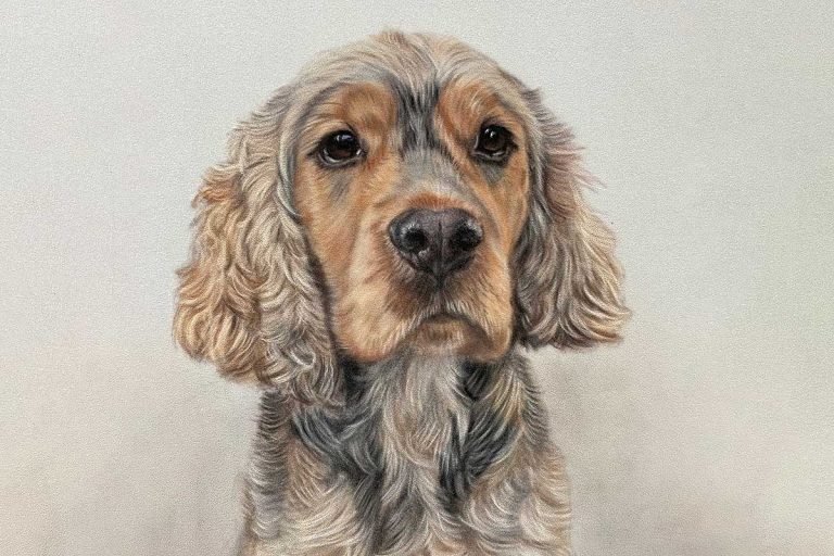 Custom Pet Portraits UK