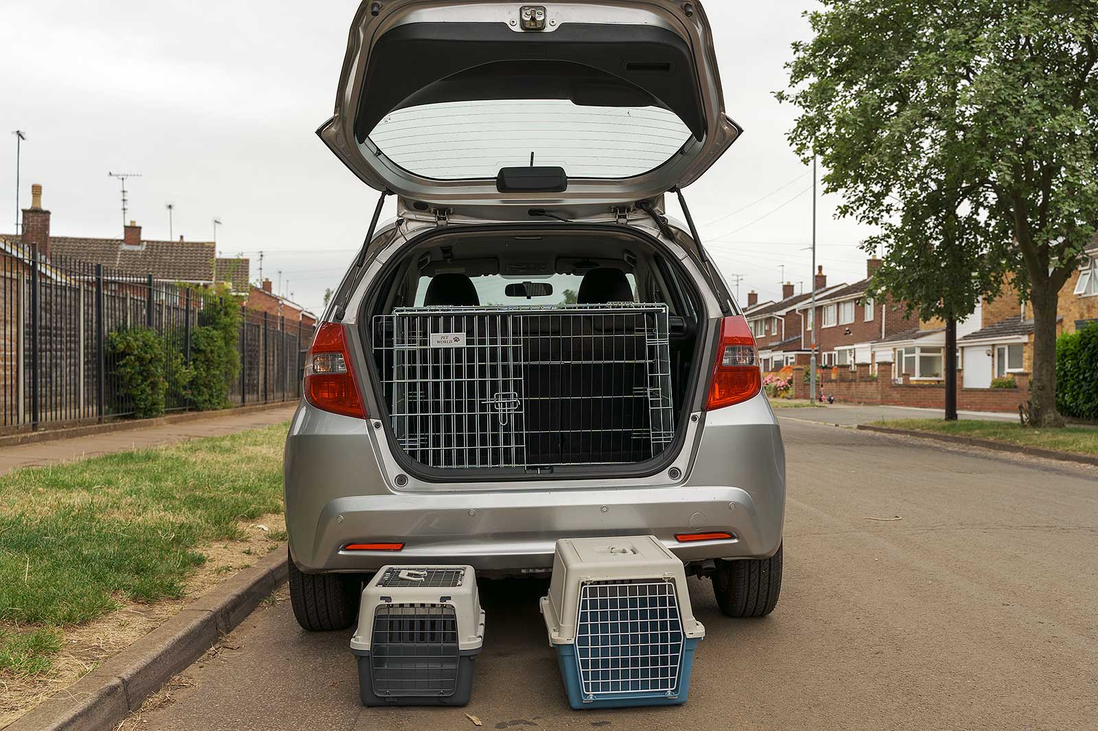 Pet Transport UK Cat & Dog Transport At Great Prices